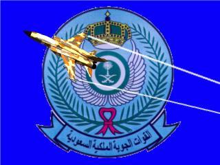 Saudi RSAF, a team to look into urgent needs